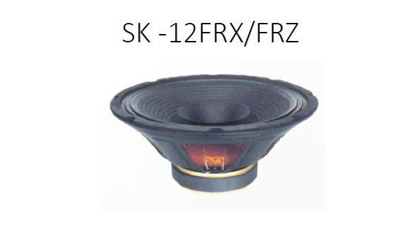ahuja as12 x100 speaker price