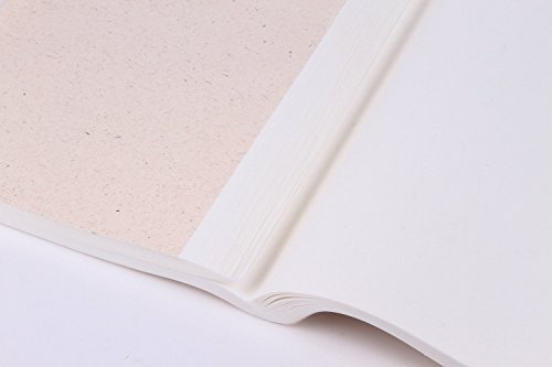 Semi behandelt Reis (Xuan) Papier für chinesische japanische Kalligraphie und Malerei 100 Blatt Pack 34 cm von 70 cm - 4