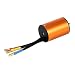 Produktbild fish 01.10 B3650 3900KV 4P Sensorless Brushless Motor CNC Fit für 1/10 RC Car Banana Stecker