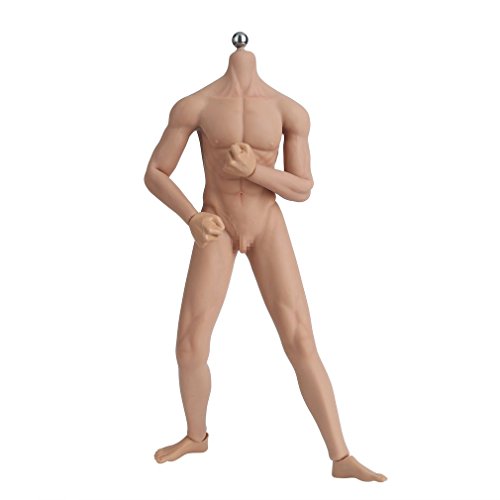 Preisvergleich Produktbild Gugutogo Nahtlose männliche Körper Skulptur Super Flexible Körper Stahl abnehmbare Skelett (Farbe: Hautfarbe)