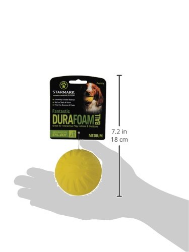 Everlasting-Dog-Toy-Fantastic-Foam-Ball-Assorted-Colors