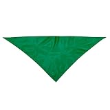 PAÑOLETA VERDE complemento de fiestas regionales
