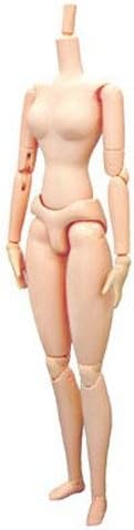 OBITSUBODY Obitsu Body 27cm Female with Small soft Bust Natural skin with Magnet 27BD-F02N-G (Japan Import)