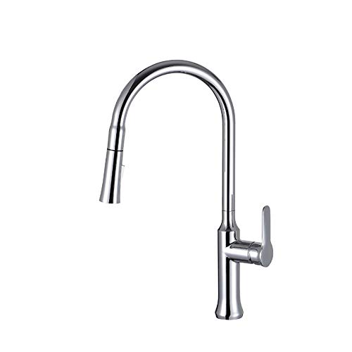 Preisvergleich Produktbild HUIJIN1 Einhandle Küchenmaschine, drehbarer Doppelauslasssprayer Gesunde Mode-Multifunktionsküche erledigen das Waschen von Kupferhahn,Chrome