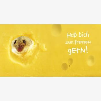 Preisvergleich Produktbild Glückwunschkarte aus Puzzleteilen Maus Käse Hab Dich zum Fressen gern! Puzzlekarte