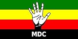 para fines representativos magFlags Bandera Large Movement for Democratic Change  Movement for Democratic Change of Zimbabwe  Bandera Paisaje  1.35m²  80x160cm