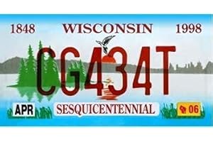 OPO 10 - Targa per Auto USA - Replica in Metallo 30x15 cm: Wisconsin (C49)