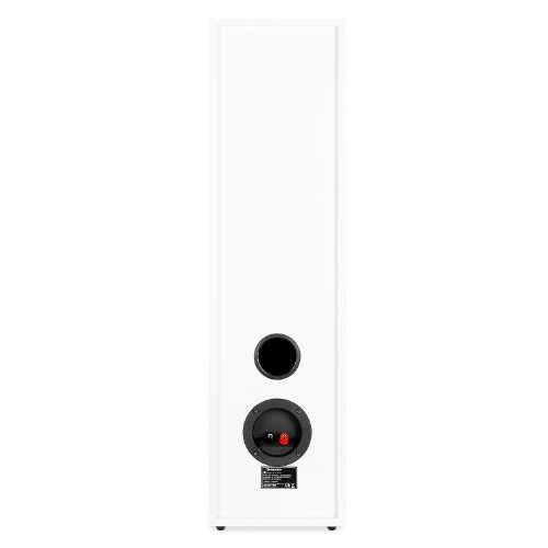 Diffusori Da Pavimento Auna Linie-300-WH – Cassa 2 Vie, Bass Reflex, 80W RMS, Coppia Bianca