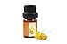Produktbild Immortelle (Helichrysum italicum) - 100% naturreines, ätherisches Öl (10ml)