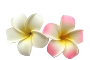 ROSOJODG Hawaiianische Frangipani, Schaumstoff-Kopf-Blume, Party-Strand-Haarspangen, Haar-Accessoires (7 cm), Weiß und Rosa, 2 Stück