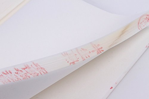 Semi behandelt Reis (Xuan) Papier für chinesische japanische Kalligraphie und Malerei 100 Blatt Pack 34 cm von 70 cm - 6
