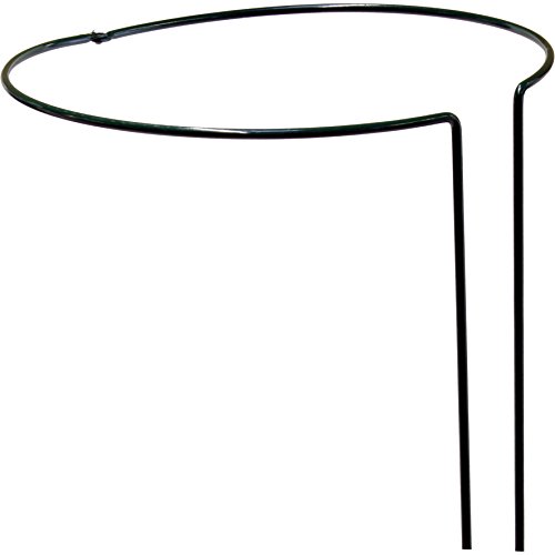 Strauchstütze 45 cm, 5 mm, grün, vollrund, verstellbar