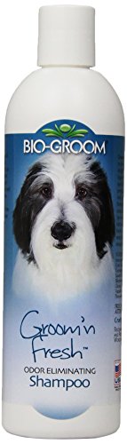 Bio Groom Groom N Fresh Shampoo, 354 ml