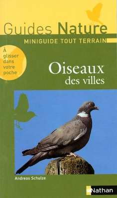 Oiseaux des villes francais Oiseaux des villes francais