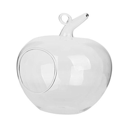 Klar Apfel Förmige Glas Hängen Vase Flasche für Pflanze Blume Schmuck - 9