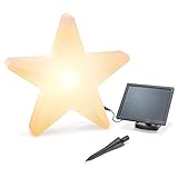 Durchmesser ca. 60 cm! Das hochwertige Dekostück bei Tag und Nacht für Ihr Fenster oder Garten!