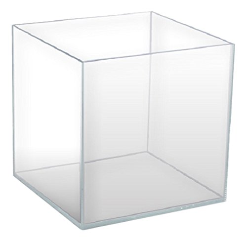 Amtra A2001988 Tanque de Onda Arte Zen, 30 x 30 cm