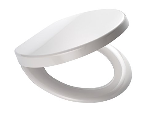 Preisvergleich Produktbild RIDDER WC-Sitz Dallas mit Soft-Close weiß