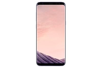 Samsung Galaxy S8+ Smartphone débloqué 4G (Ecran : 6,2 pouces - 64 Go - 4 Go RAM - Simple Nano-SIM - Android Nougat 7.0) Orchidée