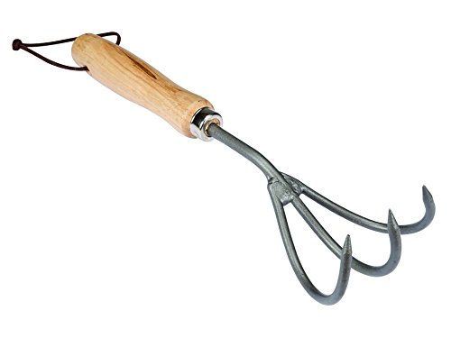 Perel Grubber mit Holzgriff, 29 x 7 x 4 cm, mehrfarbig, DT93001