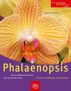 Download Phalaenopsis: Die schönsten Sorten der Falterorchidee. Richtig auswählen und pflegen