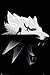 Produktbild Close Up The Witcher 3: Wild Hunt Poster Wolf Silhouette (61cm x 91,5cm) + weiße Geschenkverpackung. Verschenkfertig!