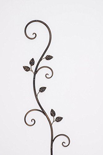 CLP Pflanzen-Rankstab AROSA aus Eisen, Höhe 125 cm, Rankhilfe für Kletterpflanzen bronze - 3