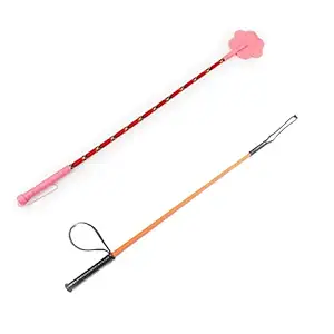 Pooch Box Dog Training Hunter and Walking Stick for Dogs with Handle - Color May Vary (Training Stick) (Pack of 2)