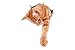 Produktbild Winston & Bear 3D Katze Aufkleber - 2 Pack - Ingwer Katze Aufkleber für Wand, Kühlschrank Ingwer Katze Aufkleber zu erreichen