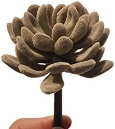 Woop 2Pcs 4.5" Artificial Succulent Plants For Garden Home Party Decor Unpotted