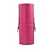 Abody New 12pcs Professional Wooden Handle Makeup Brush Set Cosmetic Brush Kit Makeup Tool with Cup Leather Holder Case (Rose)