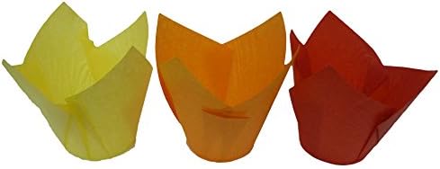 Scrumptious Sprinkles Warm Colour Mix Tulip Muffin Cases x 200, Wood, Orange, 42x11x11 cm