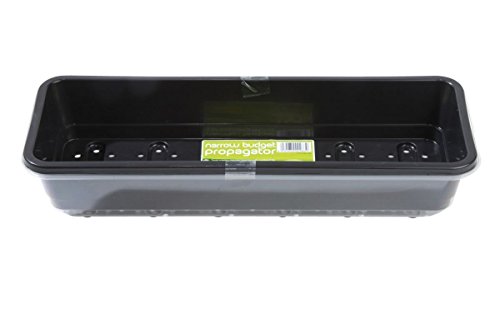 Worth gardening by garland guirlande budget propagateur rebord de fenêtre