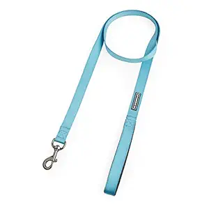 The Pawpstar Co Dog Leash by Aditya Birla New Age / Dog Walking Nylon Leash (Medium, Azure Blue)