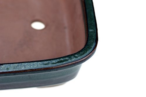 Bonsaischale Rechteckig mit abgerundeten Ecken Grün Glasiert (L 24,8cm x B 21,5cm x H 7cm) - 6