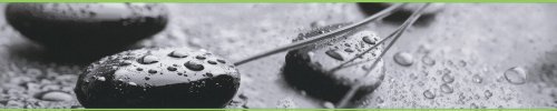 A.S. Création selbstklebende Bordüre Stick ups Wellness fotorealistisch 5,00 m x 0,10 m grau grün schwarz Made in Germany 904614 9046-14 - 2