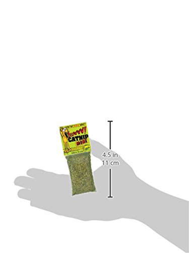 Rosewood-Pet-Products-1-sachet-dherbe--chat