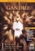 Gandhi [Alemania] [DVD]