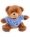 Produktbild NFL Team Teddybär (Tennessee Titans)