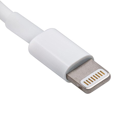 Original Apple iPhone 8 7 6 5 5S 5  C Lightning chargeur USB c  ble de donn  es iPad iPad Mini