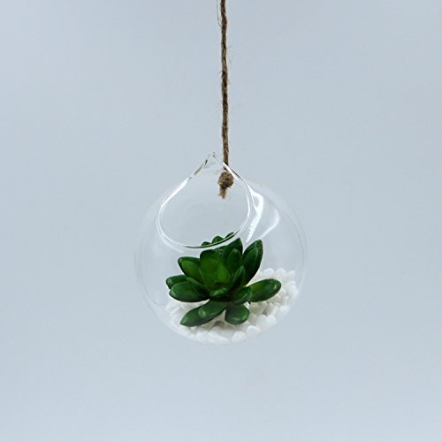 hodgea Creative zum Aufhängen Glas Kugel Vase Transparent Kultur Blume Home Hochzeit Dekoration, Glas, style 2 - 6