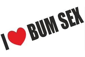 1st-Class-Designs I Love Bum Sex Funny Bumper Sticker Car Van Bike Sticker Decal Free P&P PRINTED SO PEEL AND STICK