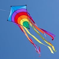 CIM Einleiner-Drachen - Rainbow Eddy Blue - für Kinder ab 3 Jahren - Abmessung: 65x74cm - inkl. 80m Drachenschnur und 8x105cm Streifenschwänze