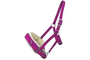 GENERIC Horse Master Padded Headcollar Halter - Flexible Adjustable Lunging Cavesson with Comfortable Fleece Lining and Buckle Closure - Elegant Stable Yard Accessories and Equipment