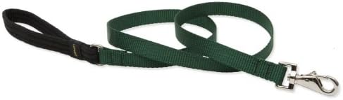 Lupine Padded Handle Dog Lead, 3/4-inch/ 4 ft, Green