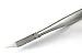 Blizzard Podiatry Ingrown ARROW Pointed Toe Nail Clipper Nipper - Professional Chiropody Cutter Instrument - 15cm GERMAN Stainless Pedicure Plier - CE Approved Foot Care Tool With FREE Nail Dresser GIFT