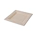 Produktbild kaufdichgrün 50x Einweg Teller aus Zuckerrohr, Bagasse Teller | ungebleicht, braun| 26x26cm, quadratisch | 100% biologisch abbaubar, kompostierbar | stabil und robust | für Catering, Outdoor und Party