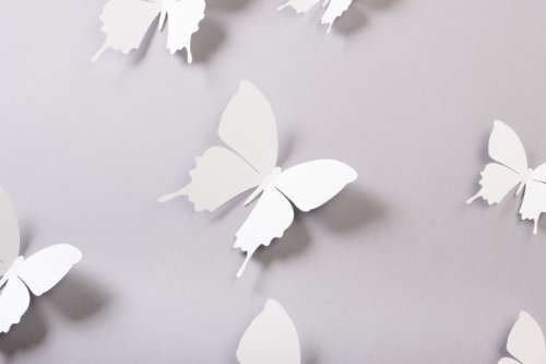 Bilderdepot24 „Schmetterlinge in 3D Style“ – WEIß – 15 Stück im Set inkl. Klebepunkte – Qualitätsware direkt vom Hersteller - 3