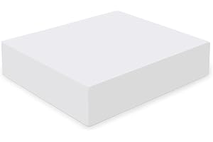 SARANI Spugna in Poliuretano Rettangolare per Imbottiture di Cuscini e Schienale per Divani, Materassi Panche - Densità 18 kg/mc (55 x 55 x 12 cm)