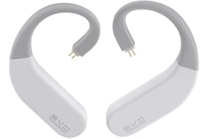 Moondrop EVO Hi-Fi Hardware True Wireless Bluetooth Ear-hook
